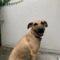 Sadie