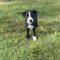 Crew