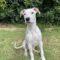 Wilma