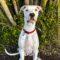 Wilma