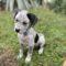 Finley