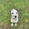 Finley