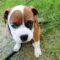 Humphrey