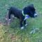 Hudson