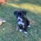 Hudson