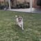 Patch