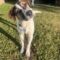 Baxter