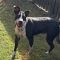 Narla