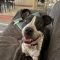 Narla