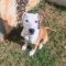 Slater