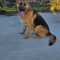 Jericho