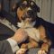 Rollo