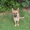 Shilo