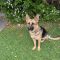 Shilo