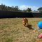 Hans