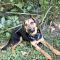 Shamus