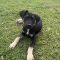 Ares